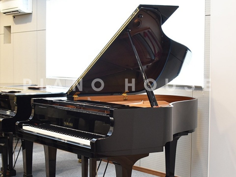 Hình ảnh chi tiết YAMAHA C2L góc chụp 7